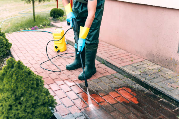 Best Pressure Washing Driveway  in Elroy, NC