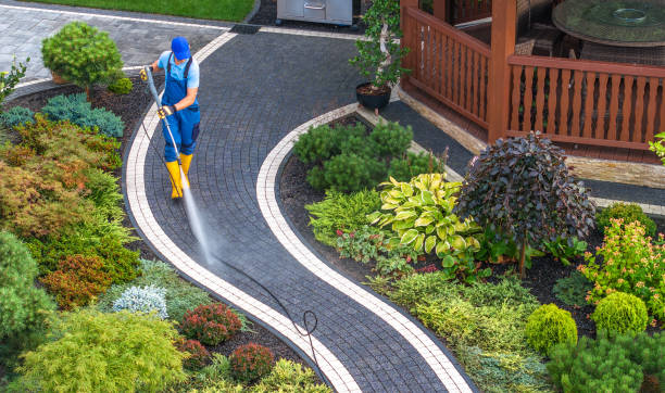 Best Pressure Washing Services for Businesses  in Elroy, NC